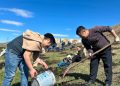 БҮХ НИЙТИЙН ХАВРЫН МОД ТАРИЛТАД ХАМРАГДЛАА